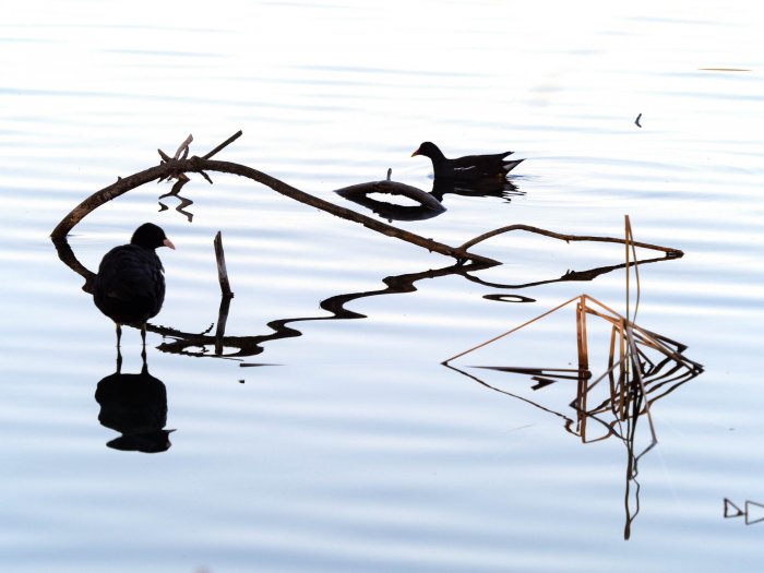 Banyoles Inèdita